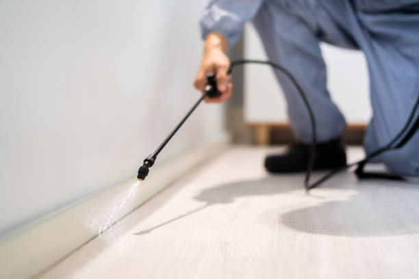 Licensed Termite Control service in Ahwahnee, CA - Nex Pest Control