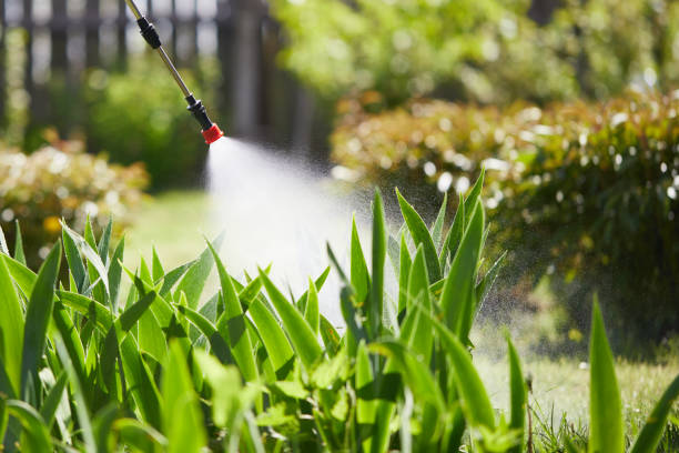 24/7 Emergency Termite Control experts in Ahwahnee, CA