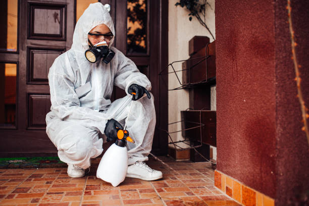 Reliable Termite Control contractor in Ahwahnee, CA by Nex Pest Control