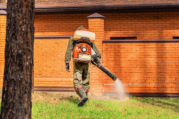 Top rated local Termite Control specialists in Ahwahnee, CA